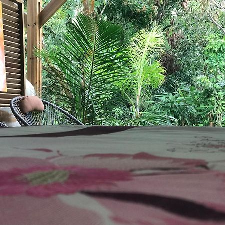 Le Lambablanc Panzió Bras-Panon Kültér fotó